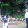 塩釜神社例大祭・お相撲大会