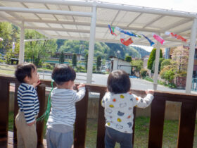 5月の節句