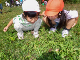クリスタルパークへのお散歩