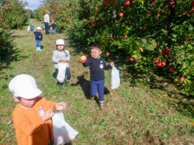 リンゴ狩り